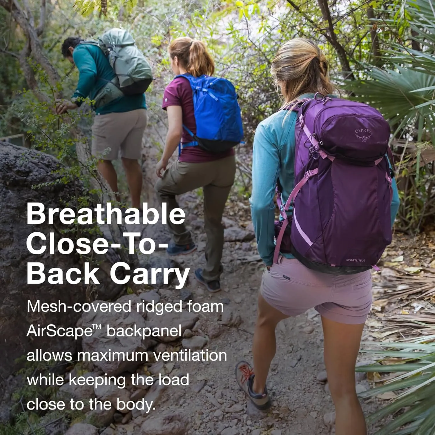 Osprey Sportlite 25L Unisex Hiking Backpack, Pine Leaf Green, S/M