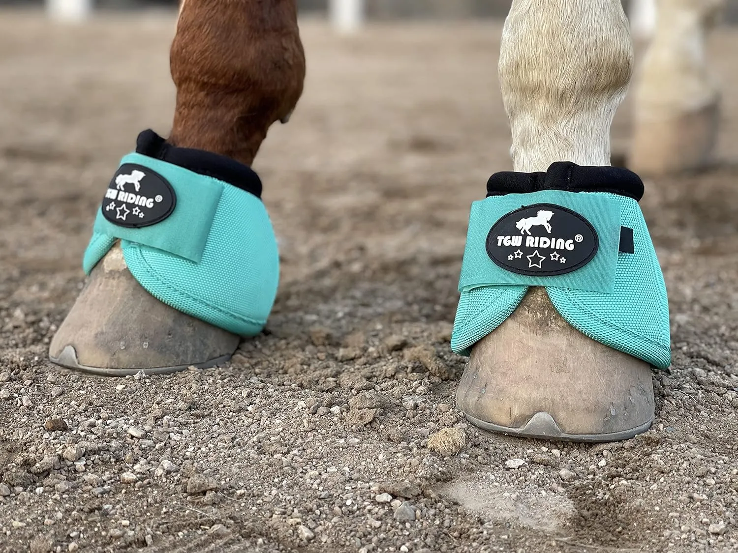 TGW RIDING 2520D Horse Bell Boots No-Turn Horse Bell Boots, Equine Ballistic Hoof Overreach Bell Boot, Pair