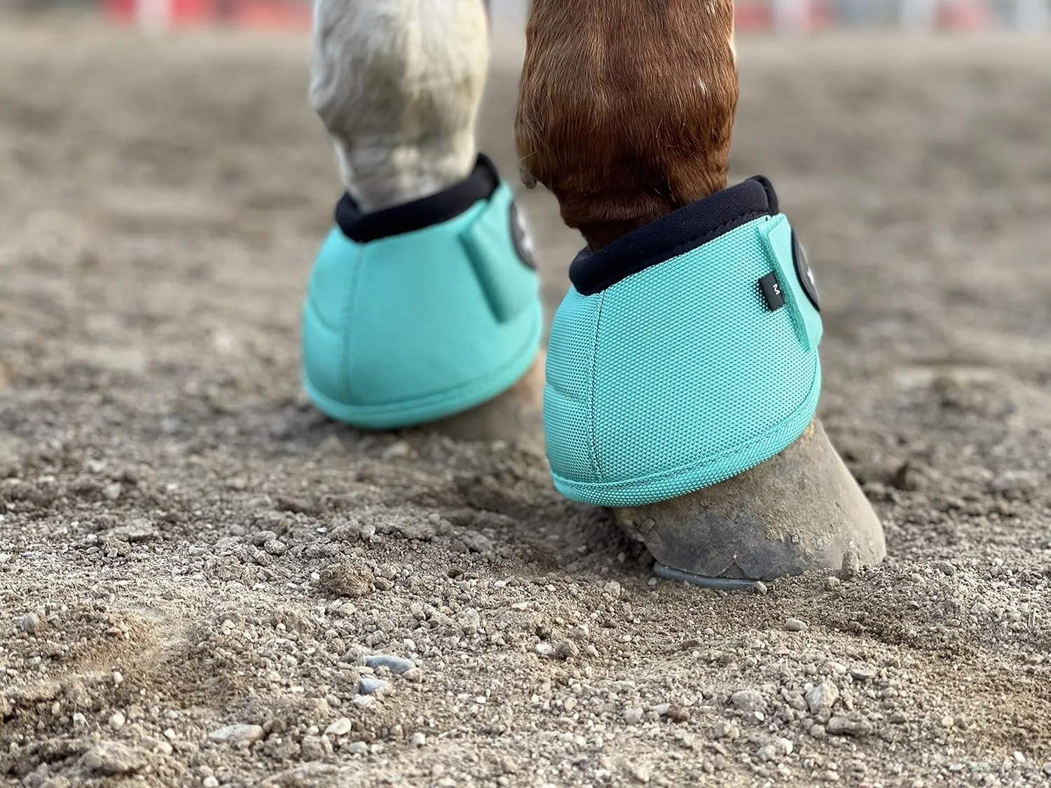 TGW RIDING 2520D Horse Bell Boots No-Turn Horse Bell Boots, Equine Ballistic Hoof Overreach Bell Boot, Pair