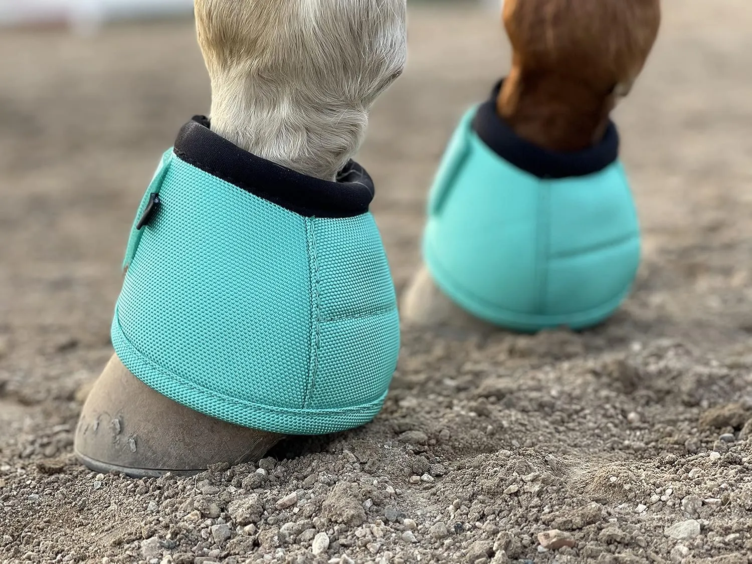 TGW RIDING 2520D Horse Bell Boots No-Turn Horse Bell Boots, Equine Ballistic Hoof Overreach Bell Boot, Pair
