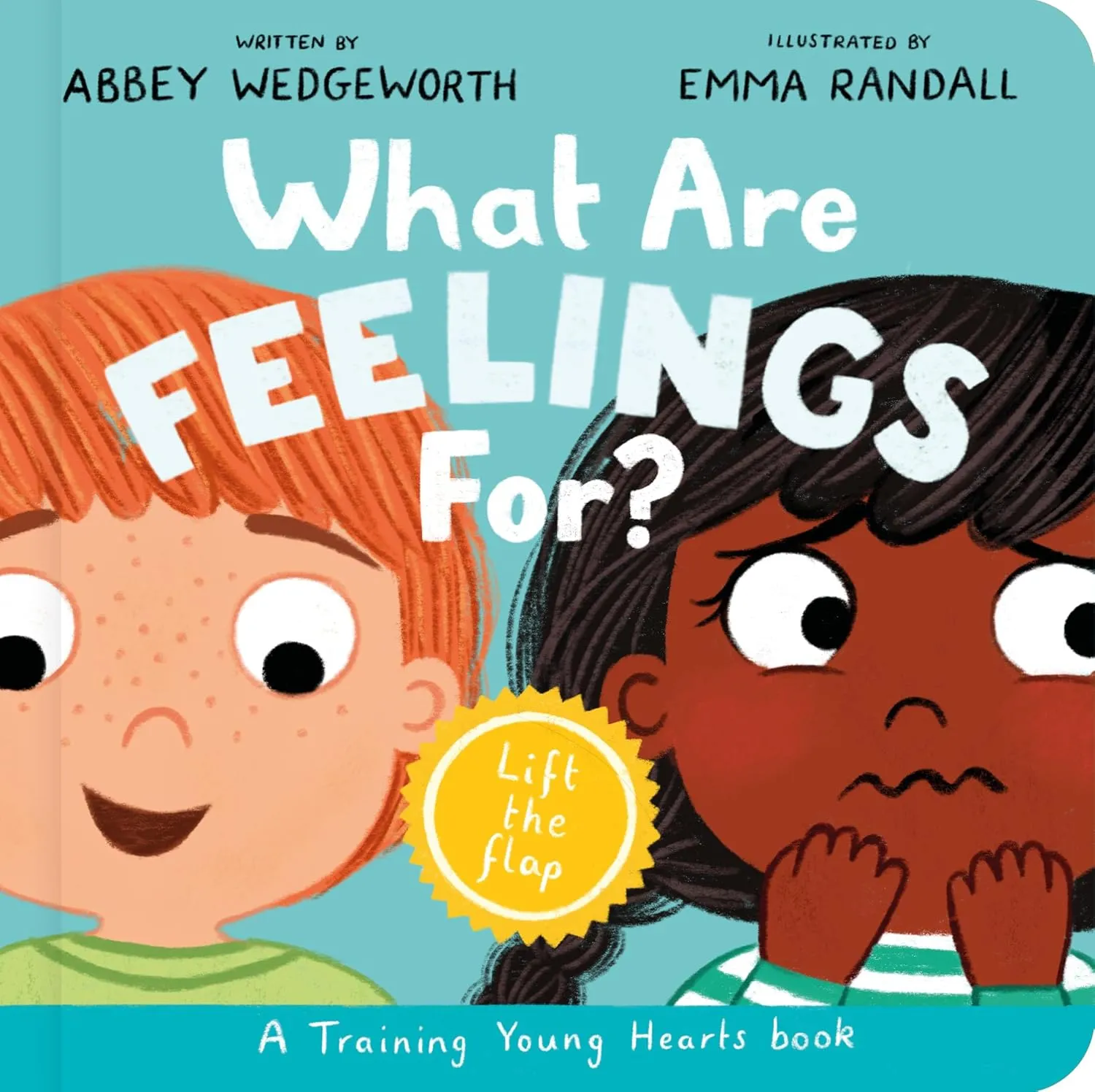 What Are Feelings For? Board Book: A Lift-the-Flap Board Book (Christian behavior book for toddlers encouraging emotional health and resilience.) Board book  Picture Book, June 1, 2025